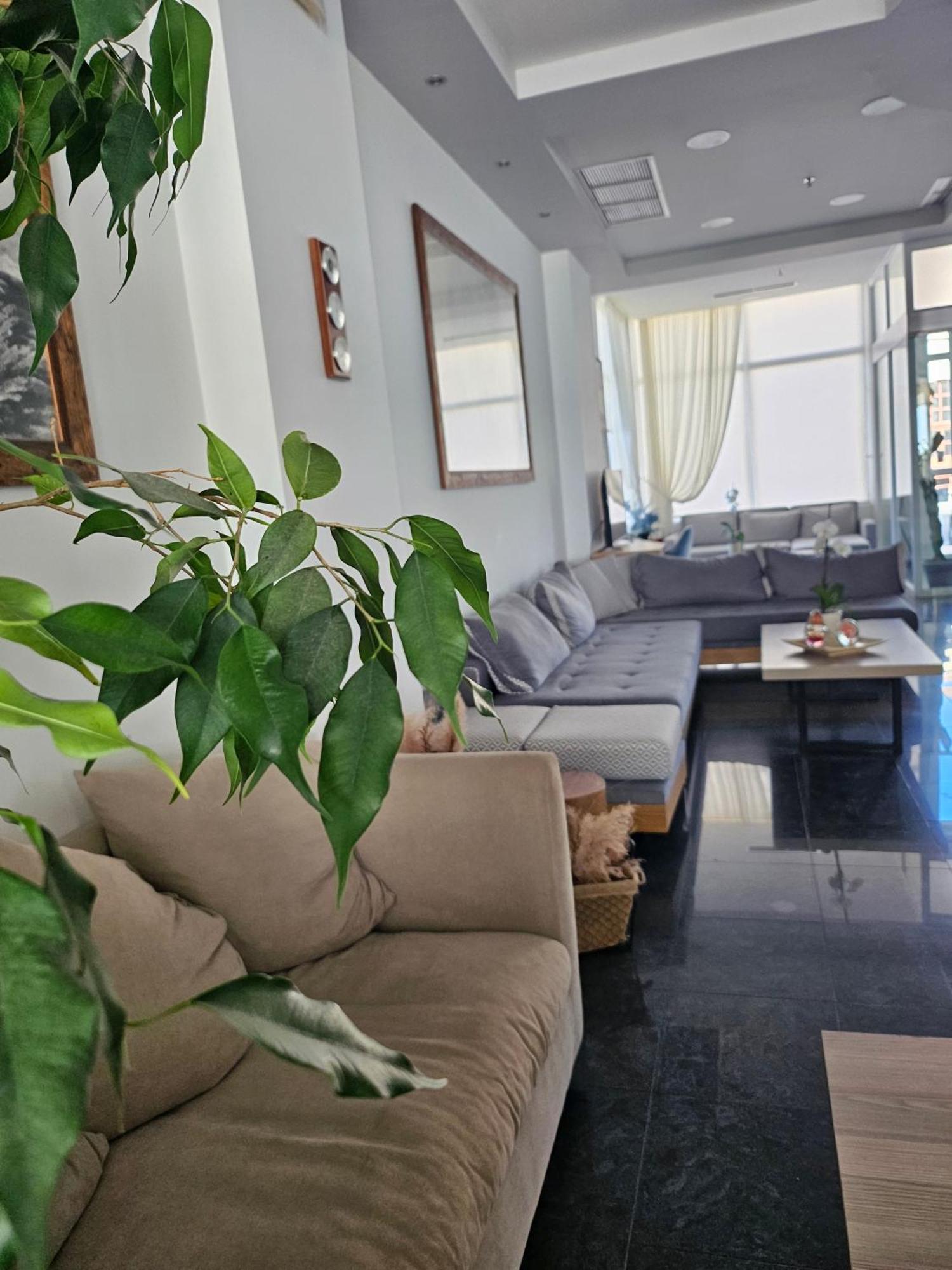 Nisaki Hotel & Elite Suites 埃尔莫波利斯 外观 照片